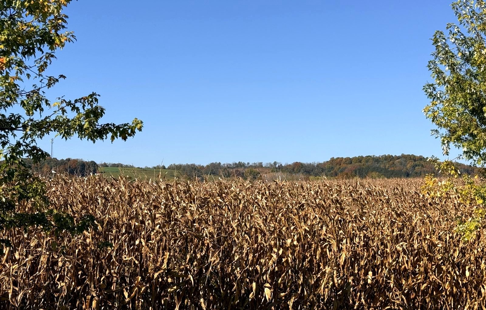 Countryside view: farm fields and wooded hills