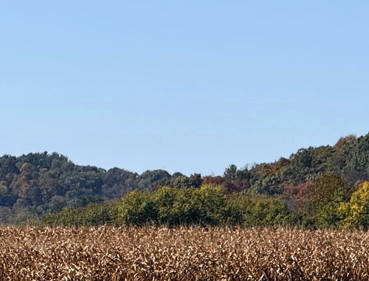 Rolling hills and fields beyond the community