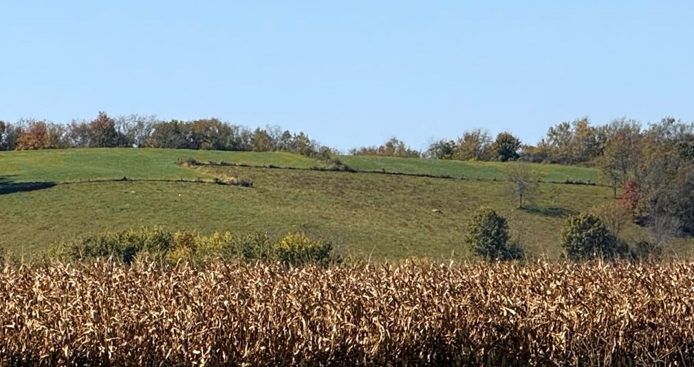 Green hillside view
