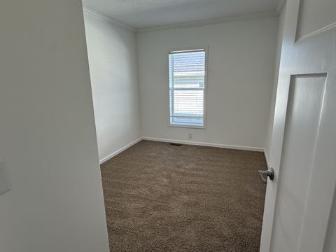 Bedroom with window and carpet